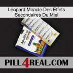 Léopard Miracle Des Effets Secondaires Du Miel 11